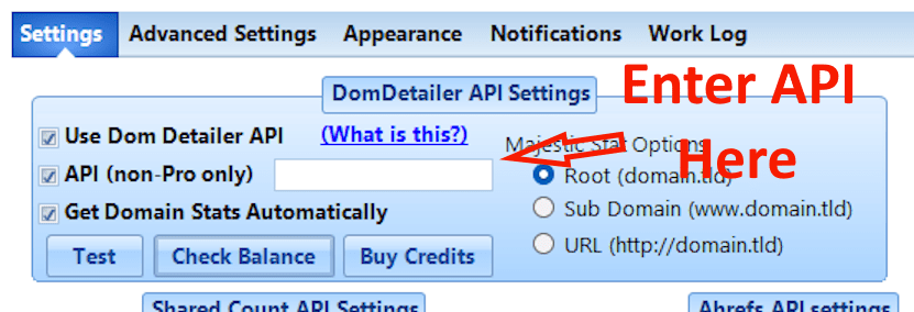 Domain Hunter Gatherer DomDetailer settings with the API key field