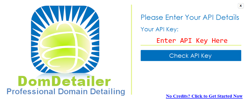 DomDetailer Desktop first-run prompt for a DomDetailer API key