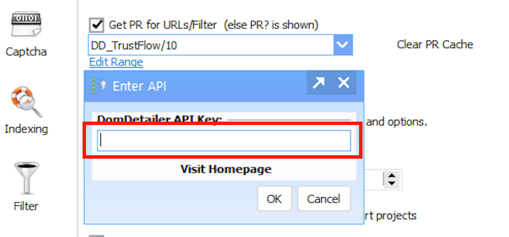 GSA Search Engine Ranker prompt for the DomDetailer API key